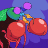 mantis-shrimp.gif