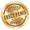 approved-seal-stamp-logo-approved-vector-icon_526569-775.png